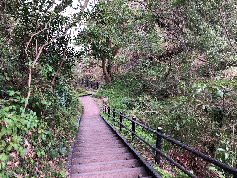 城ケ崎の森