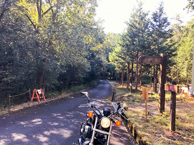 夏のバイク