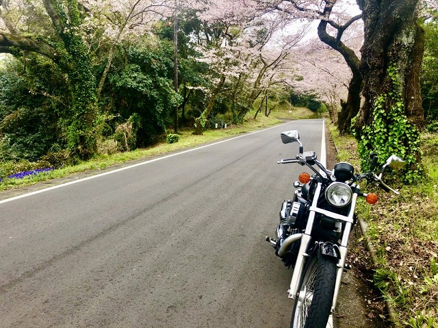 春のバイク